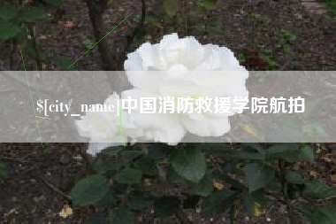谷城中国消防救援学院航拍