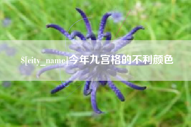 谷城今年九宫格的不利颜色