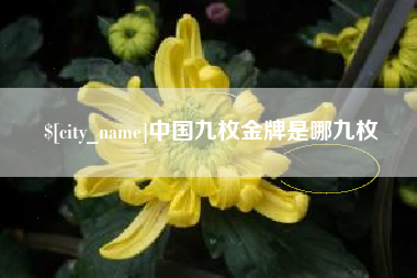 谷城中国九枚金牌是哪九枚