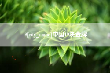 谷城中国19块金牌