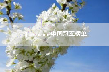 谷城中国冠军榜单