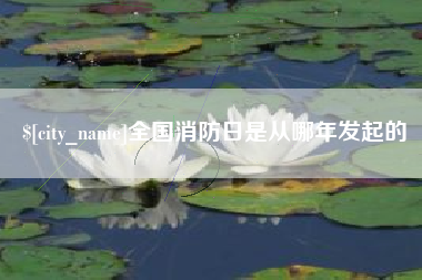 谷城全国消防日是从哪年发起的