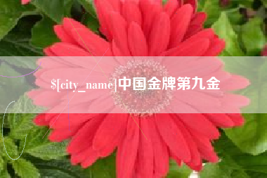 谷城中国金牌第九金