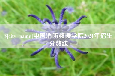 谷城中国消防救援学院2024年招生分数线