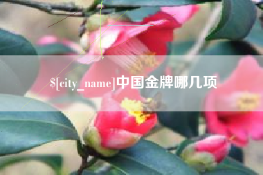 谷城中国金牌哪几项