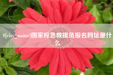 谷城国家应急救援员报名网址是什么