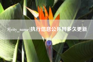 谷城执行信息公开网多久更新