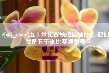 谷城五千米比赛领跑员是什么-他们就是五千米比赛领跑员