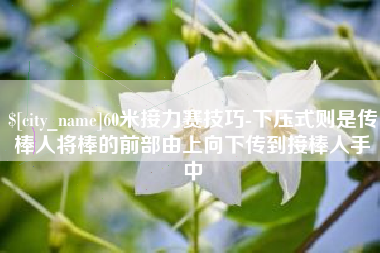 谷城60米接力赛技巧-下压式则是传棒人将棒的前部由上向下传到接棒人手中