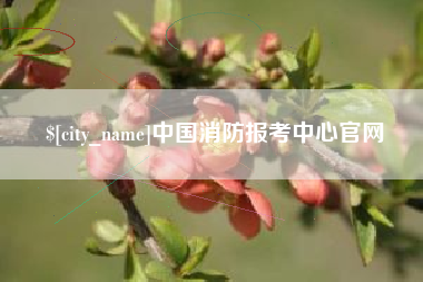 谷城中国消防报考中心官网
