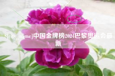 谷城中国金牌榜2024巴黎奥运会最新