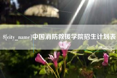 谷城中国消防救援学院招生计划表