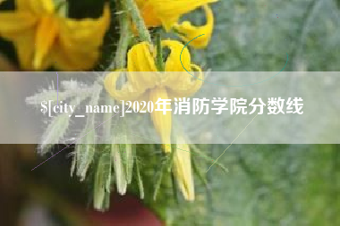 谷城2020年消防学院分数线