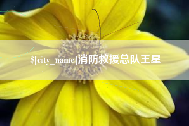 谷城消防救援总队王星