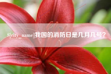 谷城我国的消防日是几月几号？