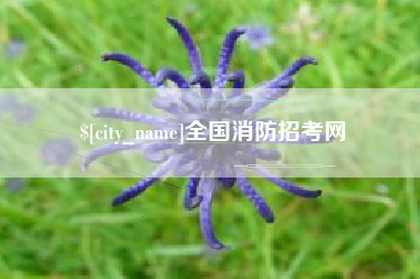 谷城全国消防招考网