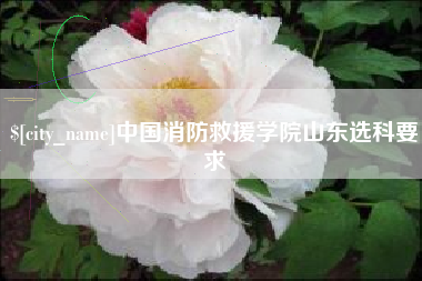 谷城中国消防救援学院山东选科要求