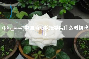 谷城中国消防救援学院什么时候政审