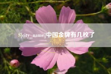谷城中国金牌有几枚了