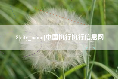 谷城中国执行执行信息网