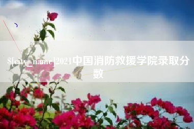 谷城2021中国消防救援学院录取分数