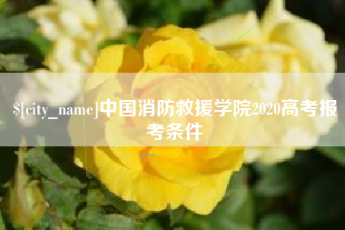 谷城中国消防救援学院2020高考报考条件