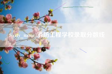 谷城消防工程学校录取分数线