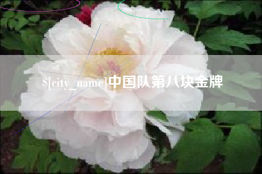 谷城中国队第八块金牌