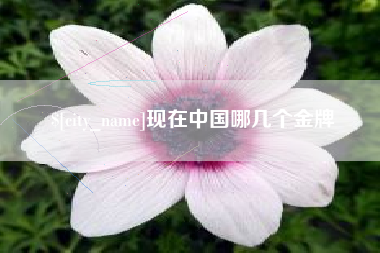 谷城现在中国哪几个金牌