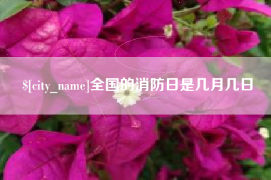 谷城全国的消防日是几月几日