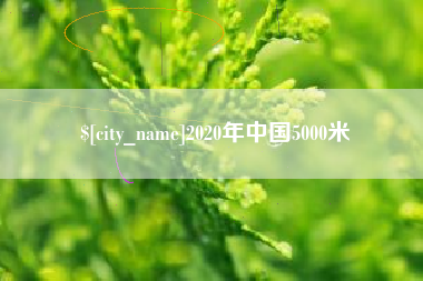 谷城2020年中国5000米