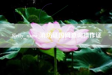 谷城消防证国网查询操作证