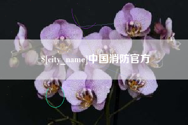 谷城中国消防官方