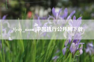 谷城中国执行公开网下载