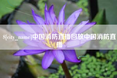 谷城中国消防直播回放中国消防直播