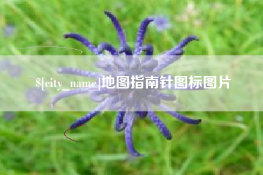 谷城地图指南针图标图片