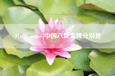 谷城中国六块金牌分别是