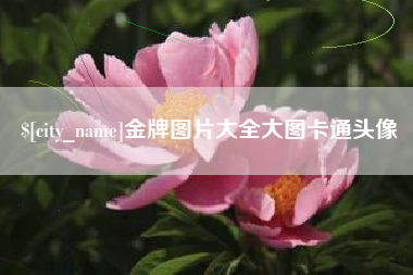 谷城金牌图片大全大图卡通头像