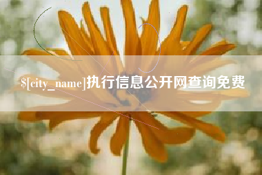谷城执行信息公开网查询免费